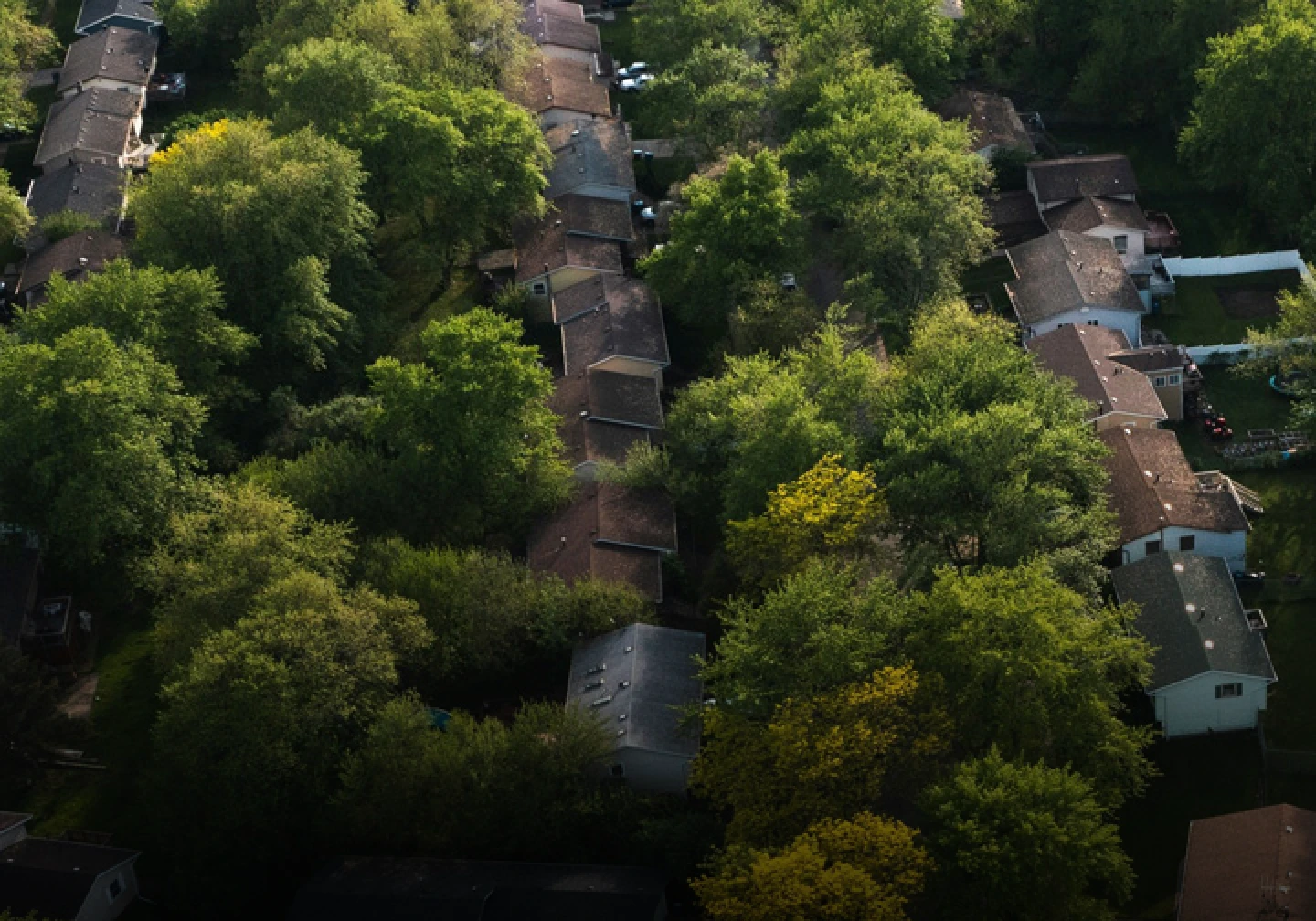Bird's-eye view of rows of rooftops nestled amongst trees.