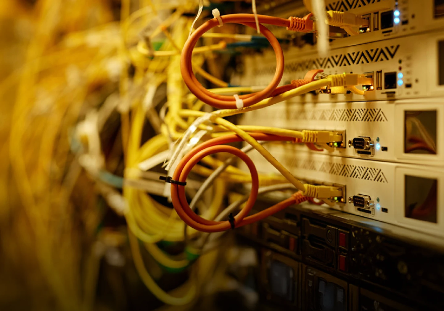 Coiled data cables plugged into server.
