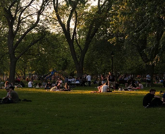 View of people interacting with nature at a park - sitting in grass and standing amongst the trees.