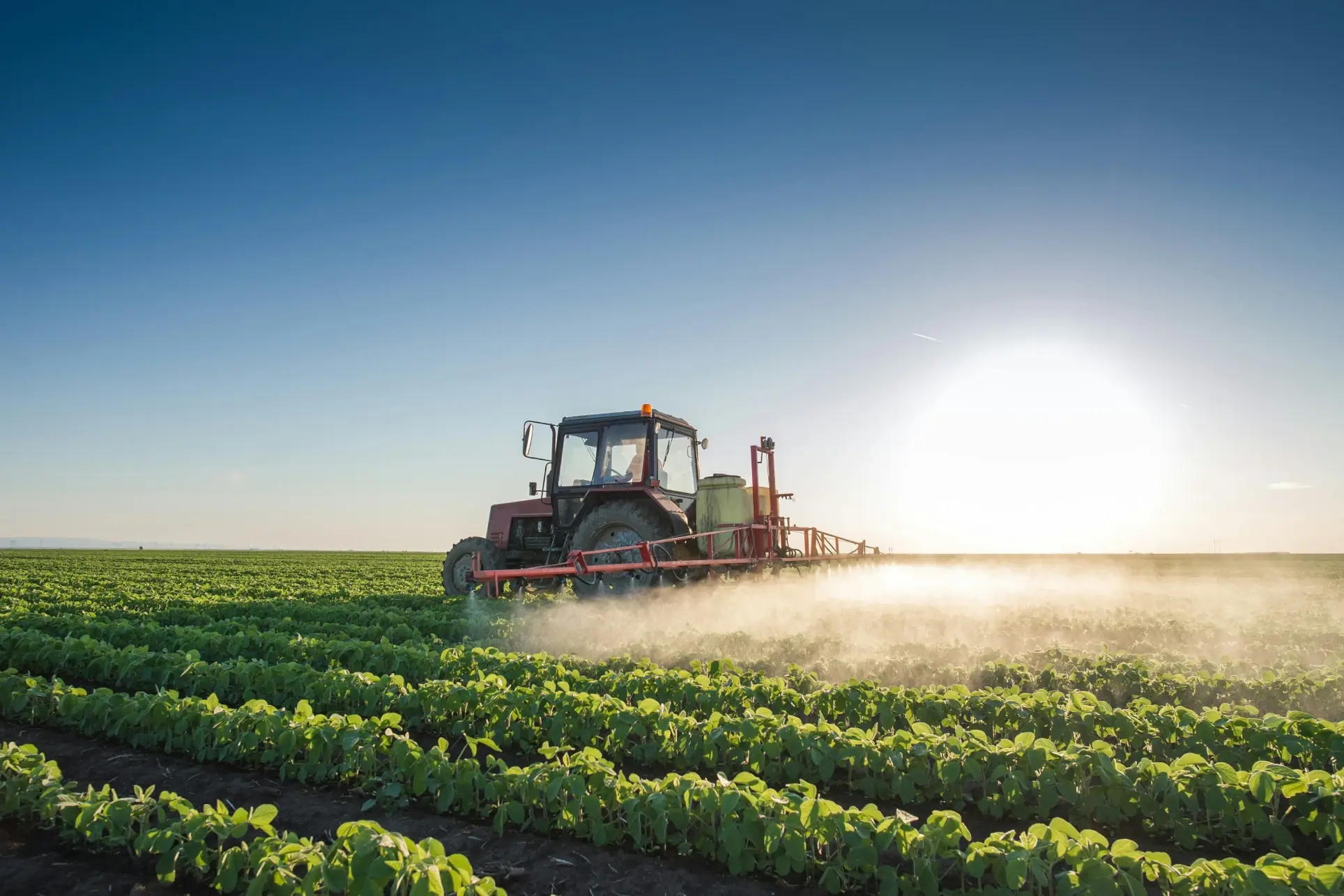 Tractor spraying pesticides into field of crops.